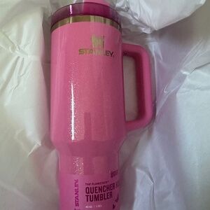 Stanley 40 oz Wicked Tumbler Pink Glinda brand new